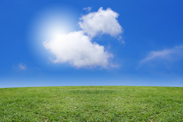 Fototapeta na wymiar green grass and blue sky on sunny day