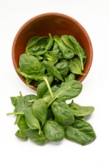 spinach