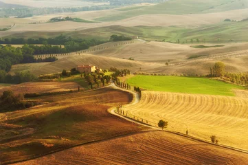 Fototapeten Blick auf die Landschaft in der Toskana-Landschaft von Pienza, Italien © Jarek Pawlak