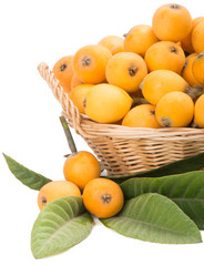 loquat fruits   in the basket