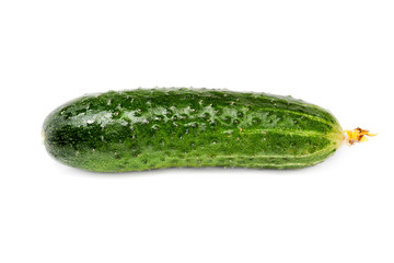 green cucumber isolated on white
