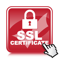 SSL CERTIFICATE ICON