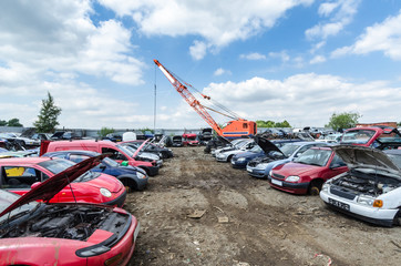 Lots of damaged cars being destroyed at a scrap yard