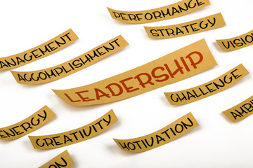 leadership concept
