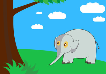 Elephant in the forest