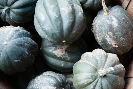 Courges d'Halloween