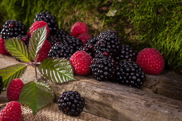 raspberries and blackberries, Himbeeren und Brombeeren