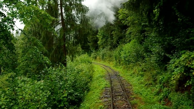 View from the train from the rear of the wagon