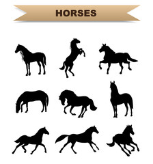 Horses silhouette set