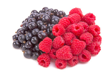 Black currants and raspberries