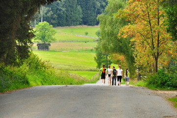 road in nature