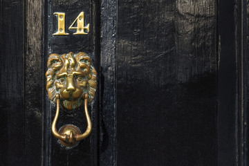 Copper lion door hummer and number, Westminster, London, UK