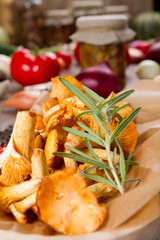 Mushrooms chanterelle