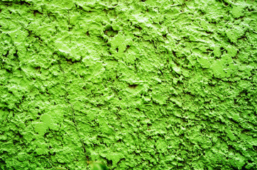 green texture background wall