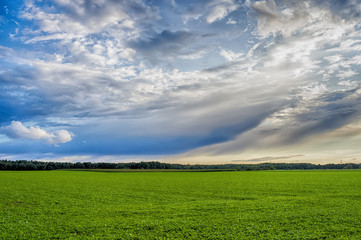 Obraz premium Beautiful landcape, green grass, field