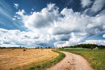 Naklejka premium Countryside road with dramatic sky