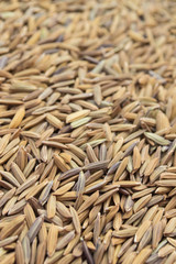 Obraz premium rice