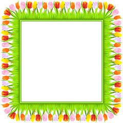 vector square frame of colorful spring tulips in grass