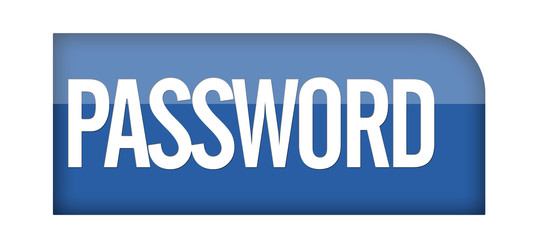 Password icon or button
