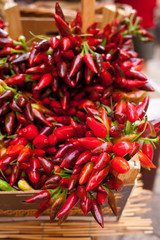bunch of red hot chili pepper at market