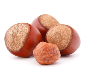 hazelnut or filbert nut isolated on white background cutout