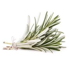 rosemary herb spice leaves isolated on white background cutout