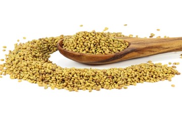 Alfalfa mit Löffel aus Olivenholz auf weißem Hintergrund