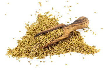 Alfalfa mit Schippe aus Olivenholz auf weißem Hintergrund