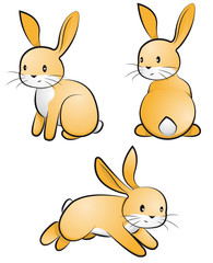 Hasen-Set