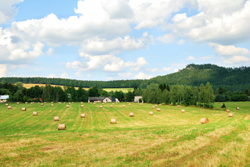 Mowed farm field with bales of hay