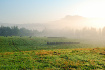 Fototapeta na wymiar Foggy morning grassland landscape with trees and hill in the dis