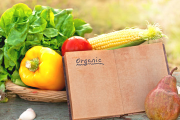 fresh organic vegetables in my garden © suzanam