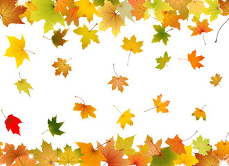 Horizontal seamless pattern of autumn leaves
