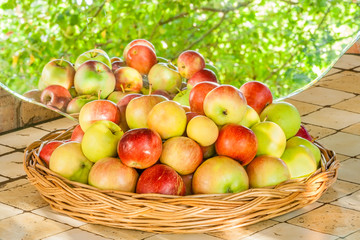 Tray of apples reflected in a mirror