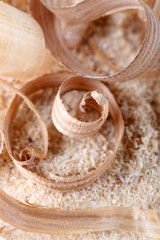 Wood shavings on sawdust closeup