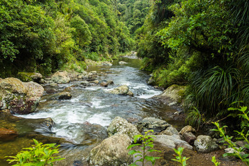 Kahuterawa Stream