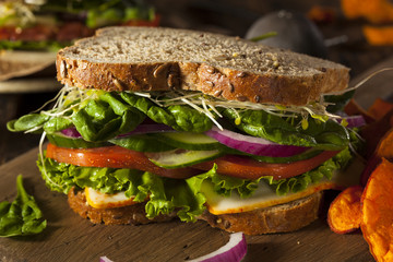 Healthy Vegetarian Veggie Sandwich