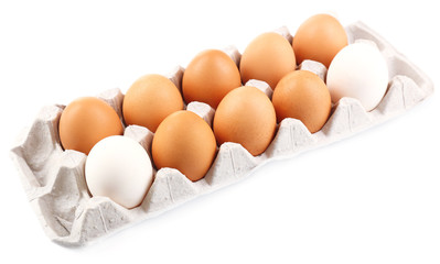 Different eggs in carton pack isolated on white