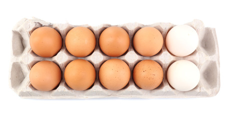 Different eggs in carton pack isolated on white