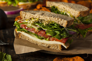 Healthy Vegetarian Veggie Sandwich