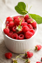 fresh raspberries