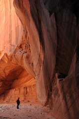 Hiker in Wire Pass Canyon