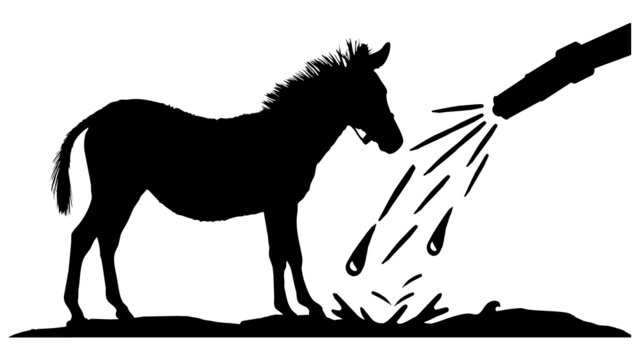 horses wash center - Pferde Waschstation - 16-9 - g1326