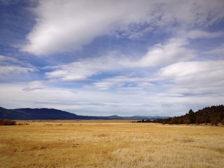 Sierra Nevada