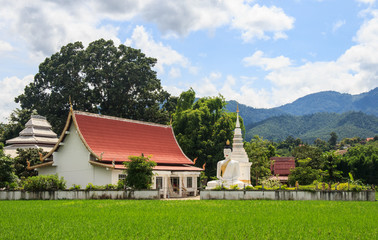 Fototapeta na wymiar Temple on Rice fields