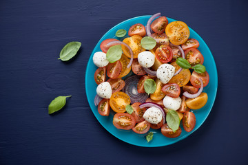 Vegetable salad with mozzarella cheese over dark blue background