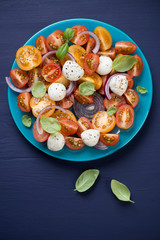 Salad with tomatoes, mozzarella, basil and onion, above view