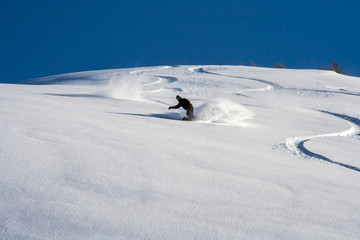 Snowboarder go down on powder snow.