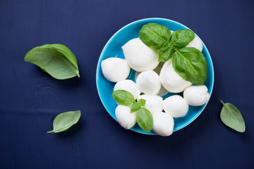 Above view of mozzarella cheese with green basil, studio shot