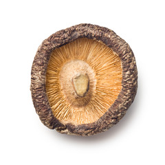 dried shiitake mushroom